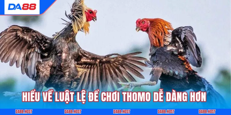 Hiểu về luật lệ để chơi Thomo dễ dàng hơn 